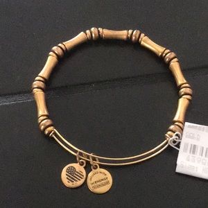 Alex and Ani bracelet